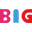 BIGSHOCKED Official Store logo